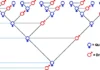 Dãy số Fibonacci và những bí ẩn trong tự nhiên