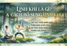 Linh khí là gì, làm gì để bổ sung linh khí vào cơ thể