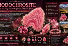 Rhodochrosite – Viên đá hoa hồng của tình yêu và sự chữa lành