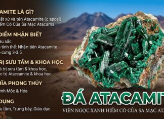 Đá Atacamite – Viên ngọc xanh hiếm có của sa mạc Atacama